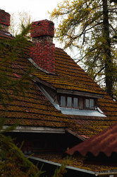 Similar image 21946500