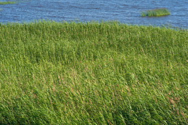 Similar image 21946508