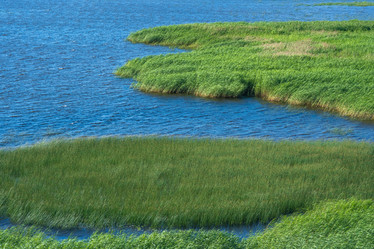 Similar image 21946510