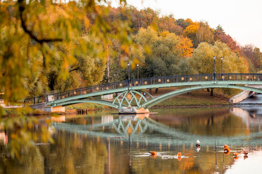 Similar image 21946353