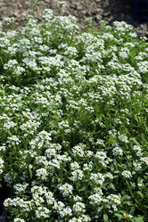 Similar image 21943778