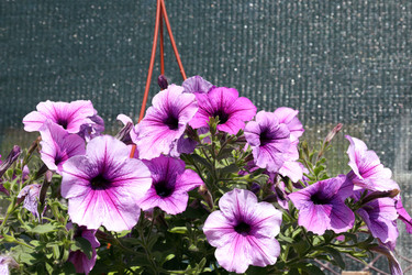 Similar image 21943779