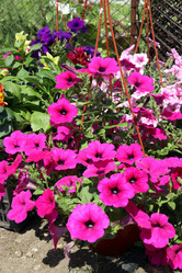 Similar image 21943783