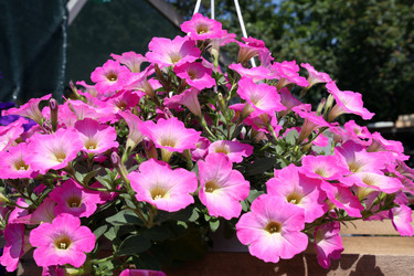 Similar image 21943785