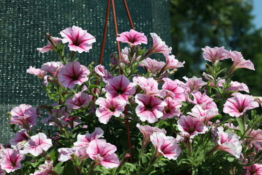 Similar image 21943787