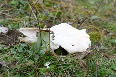 Similar image 21945376