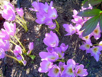 Similar image 21945647