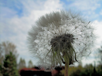 Similar image 21945648