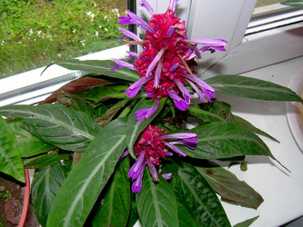 Similar image 21945650