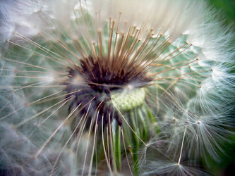 Similar image 21945652