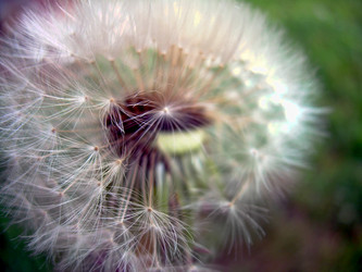 Similar image 21945653