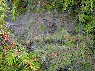 Similar image 21945654