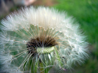 Similar image 21945655