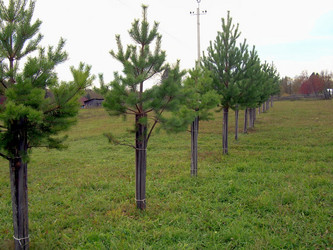 Similar image 21945656