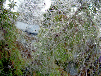 Similar image 21945659