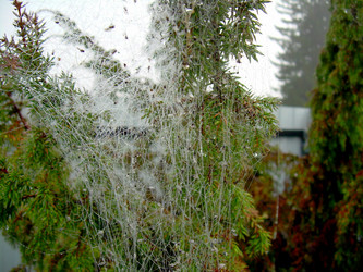 Similar image 21945660