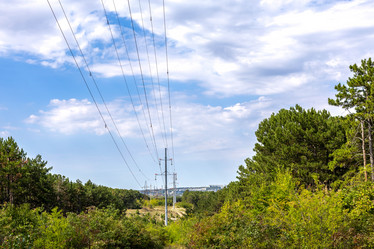 Similar image 21945377