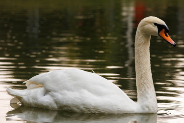 Similar image 21945379