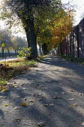 Similar image 21945390