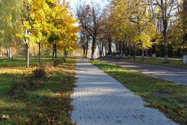 Similar image 21945392