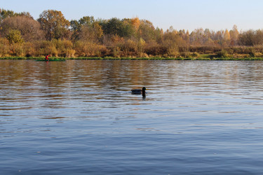 Similar image 21945393