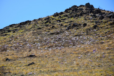 Similar image 21945409