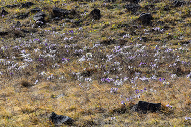 Similar image 21945410