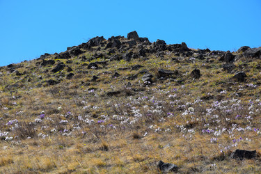 Similar image 21945411