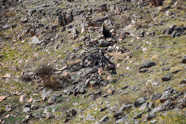 Similar image 21945419