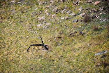 Similar image 21945420