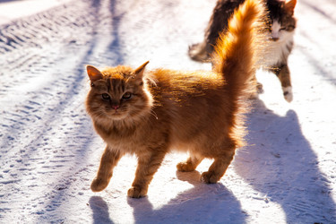 Similar image 21945464