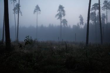 Similar image 21945465