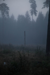 Similar image 21945466