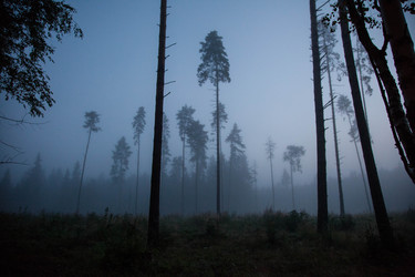 Similar image 21945467