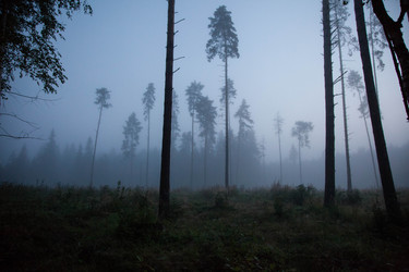 Similar image 21945468