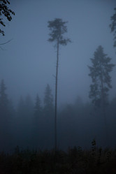 Similar image 21945469