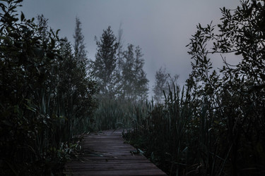 Similar image 21945470