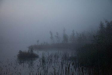 Similar image 21945474