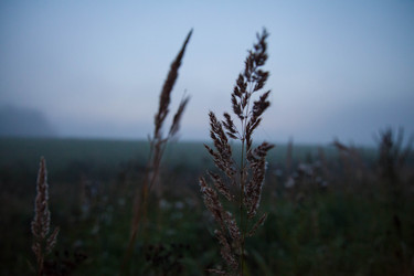 Similar image 21945482