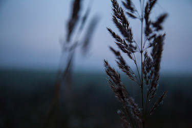 Similar image 21945483