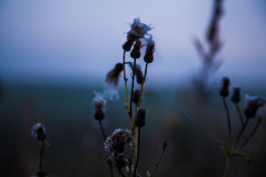 Similar image 21945484