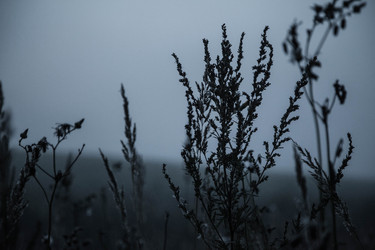 Similar image 21945486