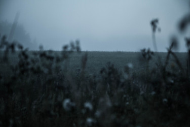 Similar image 21945488