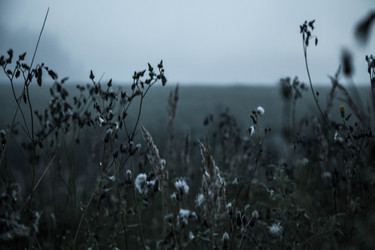 Similar image 21945489