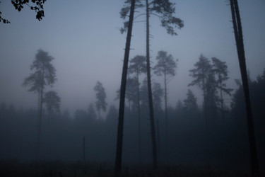 Similar image 21945490