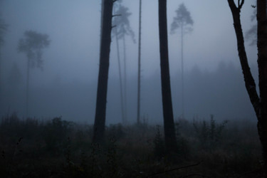 Similar image 21945491