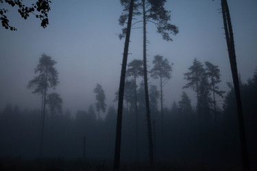 Similar image 21945492