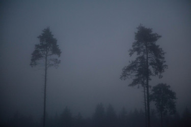 Similar image 21945493