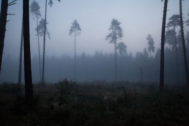 Similar image 21945494