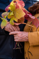 Similar image 21946513